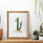 Owp picture blog 002